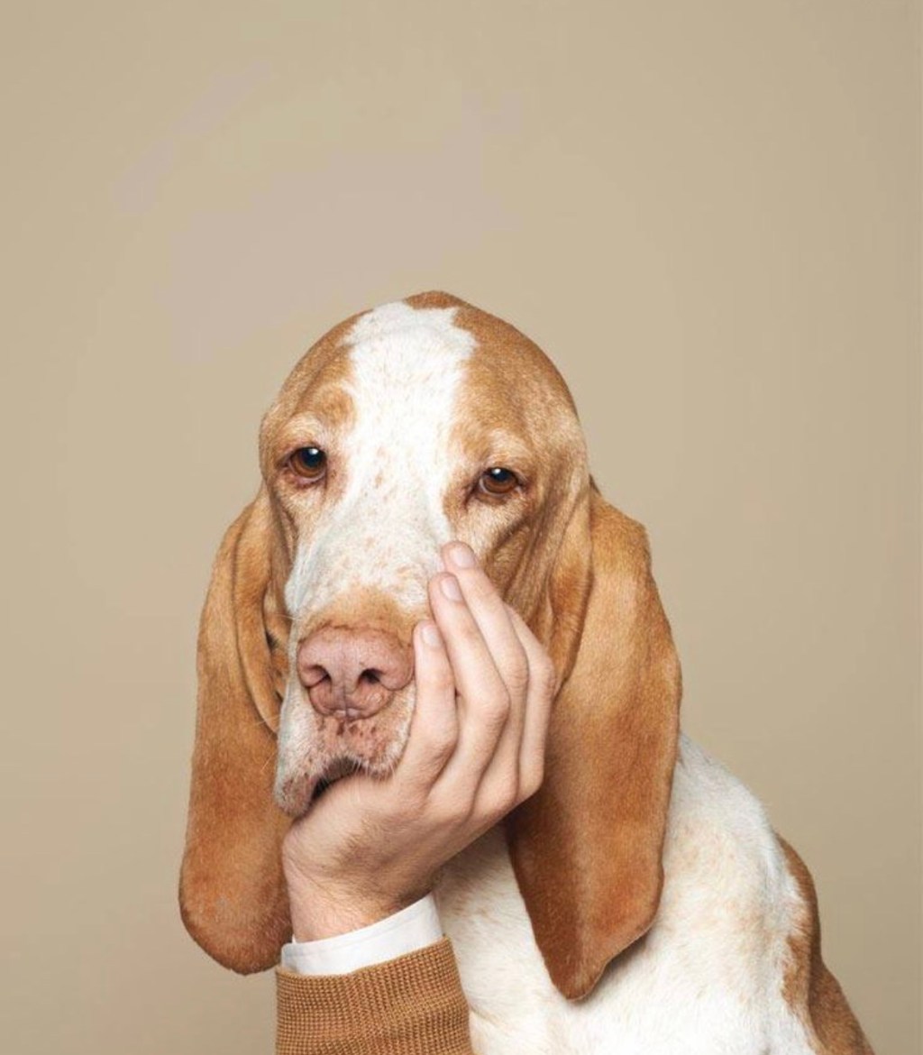 Want To Be Financially Well Off? Be&nbsp;Boring